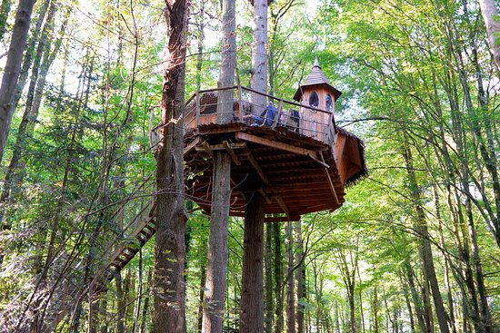 cabanes-dans-les-arbres-de-la-grande-no-trocotel-revendez-votre